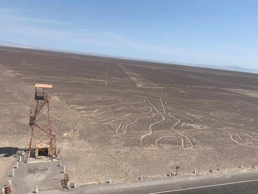 Nazca Tara