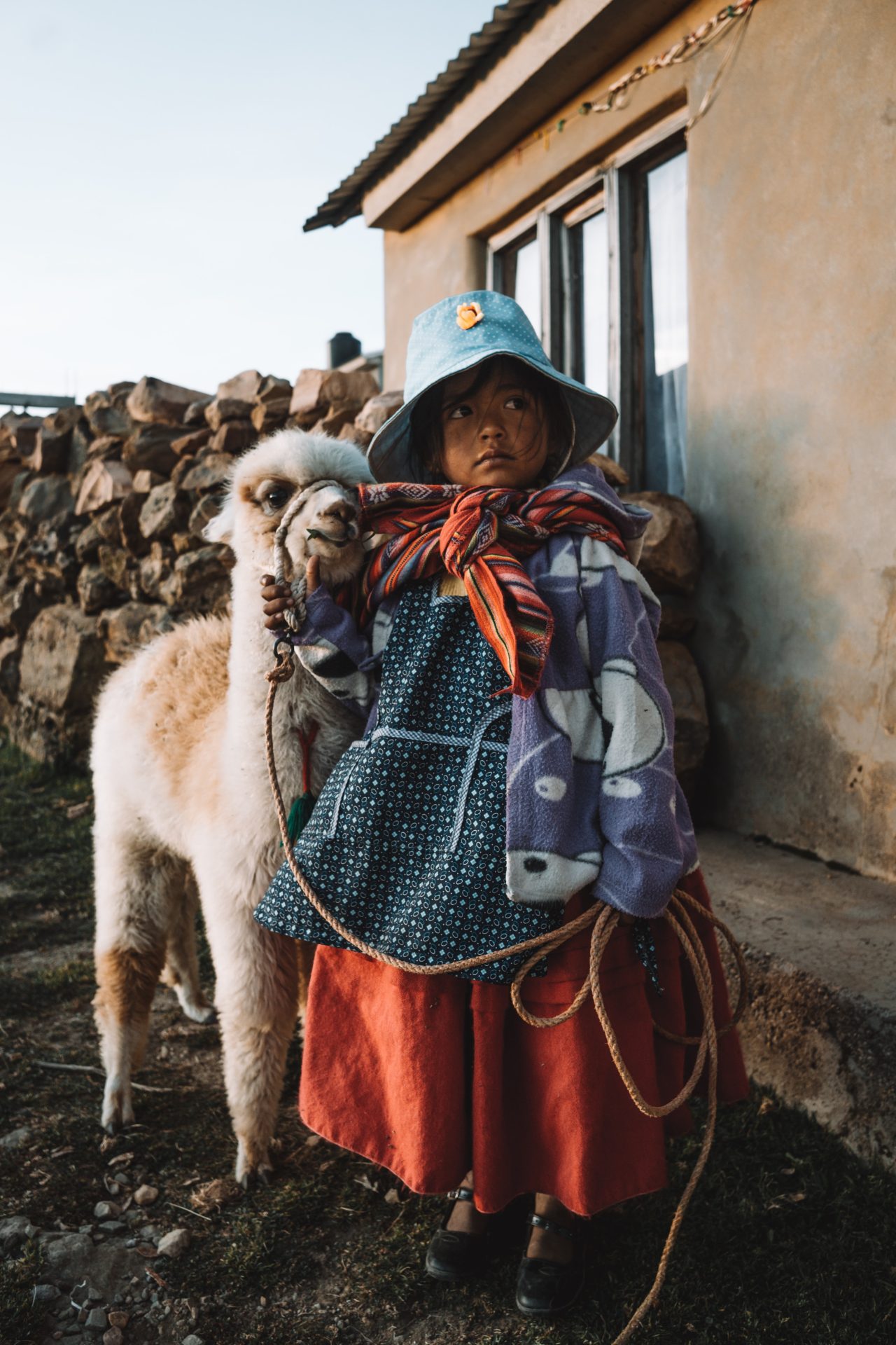 Peru meisje alpaca