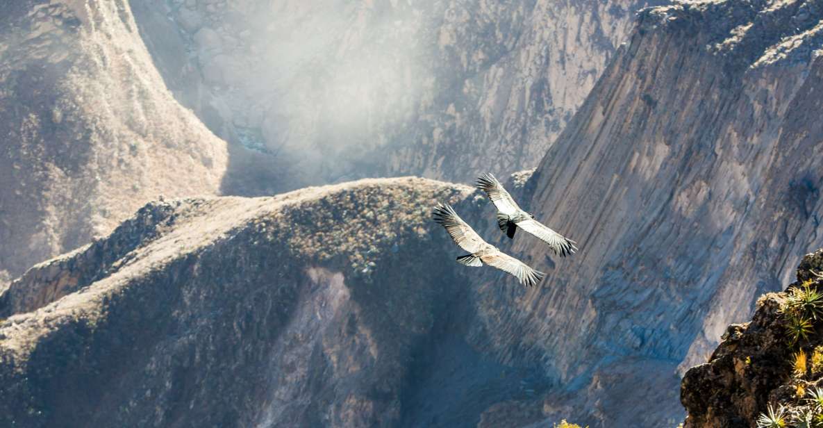 Dagtour Colca Canyon