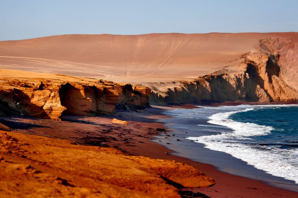 Tour paracas nationale reserve