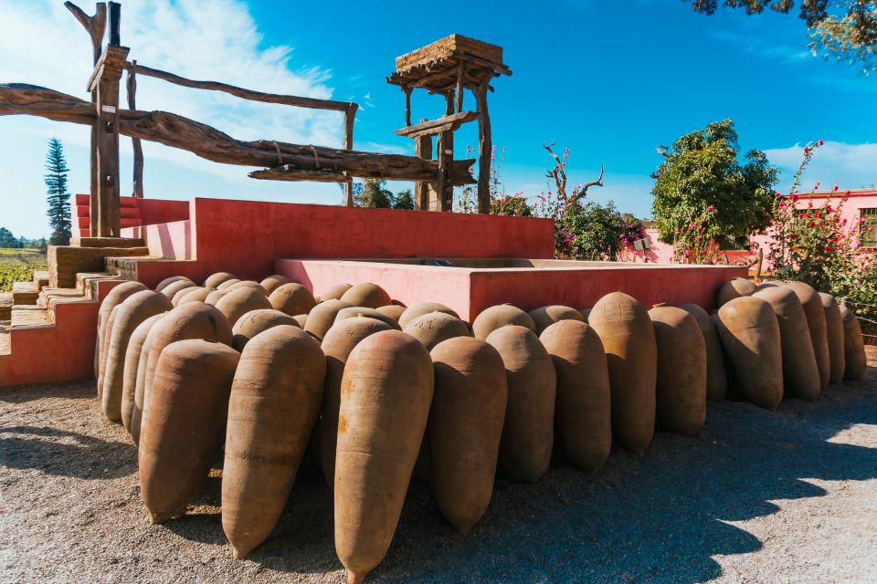 Wine en Pisco tour