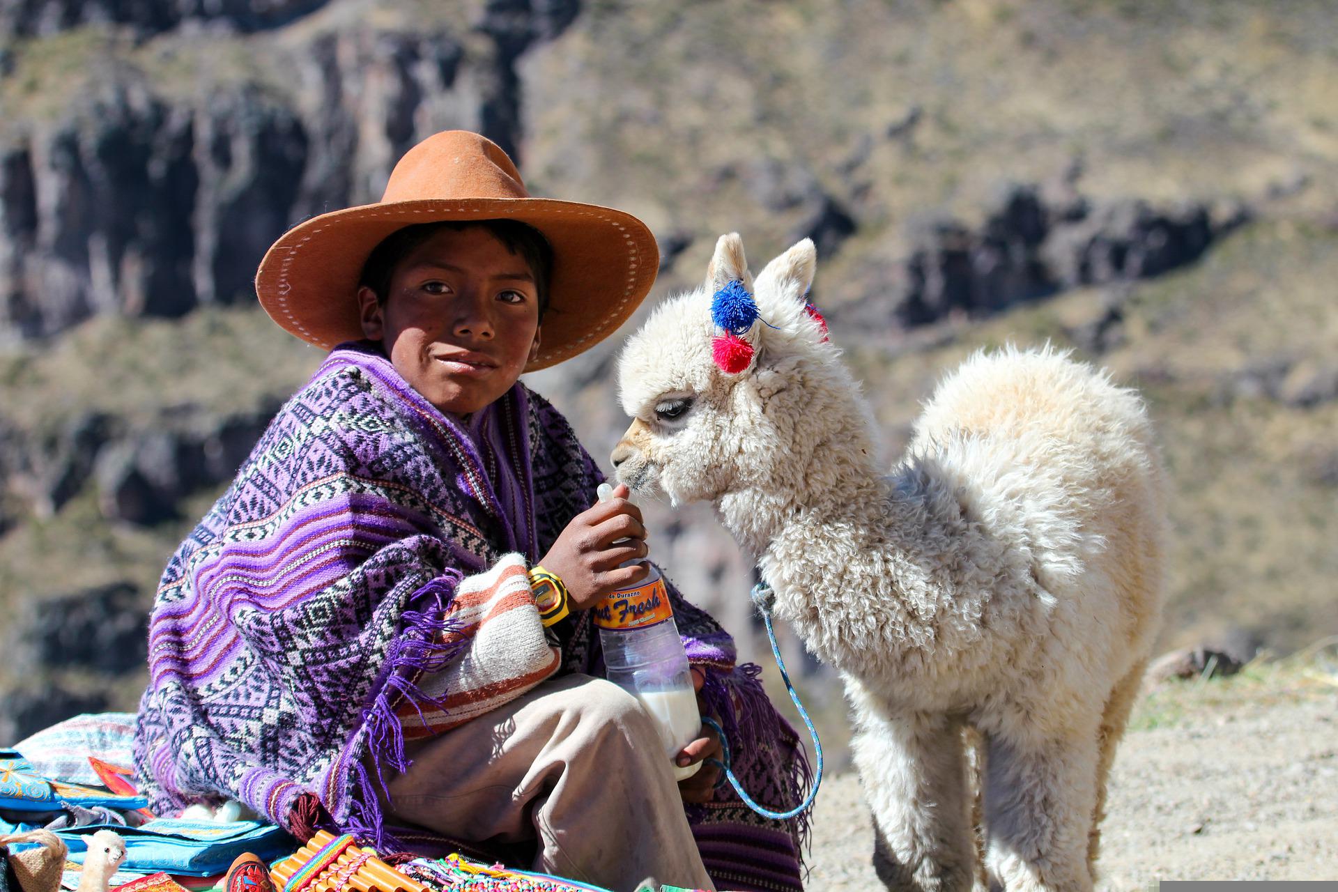 Jongen met lama