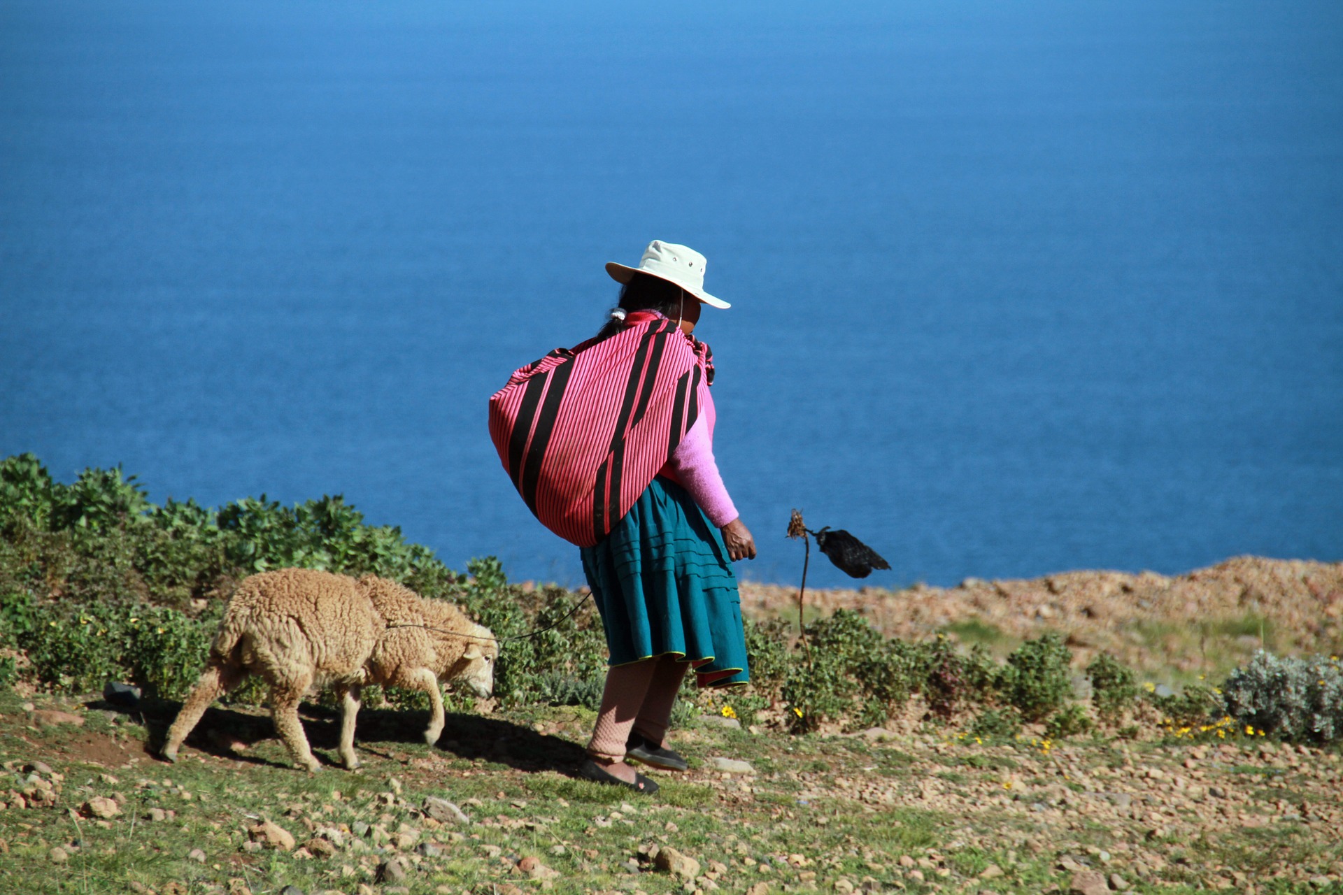 Culturele vrouw Peru