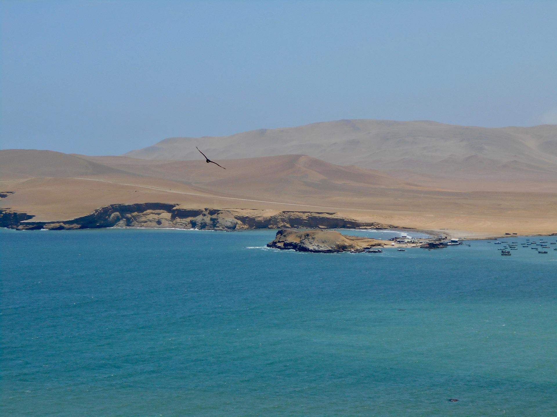 Paracas